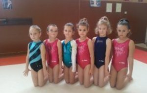 Début de la saison compétitive!!