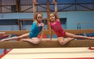 2 gymnastes sélectionnées pour la Coupe Régionale!