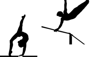 PERMANENCES INSCRIPTIONS SAISON 2013/2014