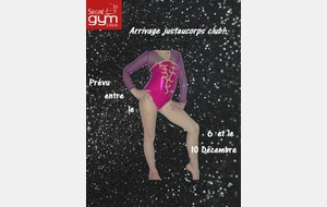 arrivage justaucorps club