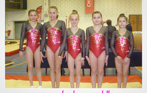 les benjamines/minimes qualifiées pour la demi finale nationale!!