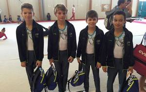 championnats de France inter-comités