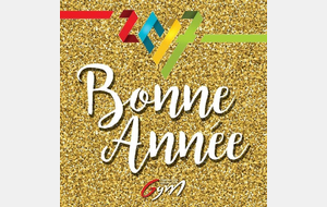 BONNE ANNEE 2017
