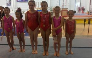 championnat départemental GAF