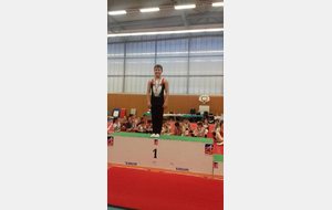 championnat départemental individuelle GAM et GAF