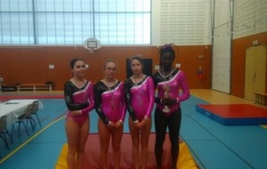 championnat départemental fédéral