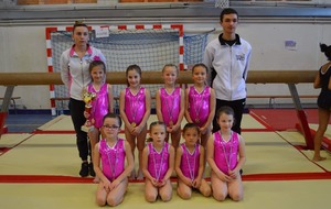 championnat départemental fédéral GAF