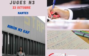 Formation Juge Niveau 3