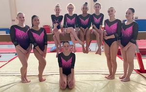 Finale Départementale équipés Fédérale 27/28 Janvier Chemillé 