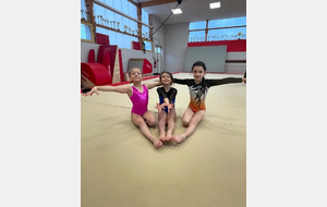 Stage Perf Poussines CD49