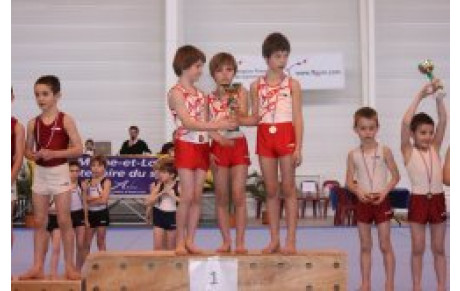 Finales Dep par Equipes le 28 et 29/01 à Saumur