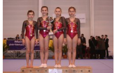 Finales Dep par Equipes le 28 et 29/01 à Saumur