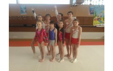 9 gymnastes qualifiés en demi-finales nationales