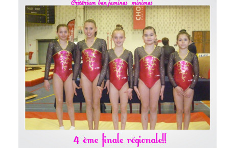 les benjamines/minimes qualifiées pour la demi finale nationale!!