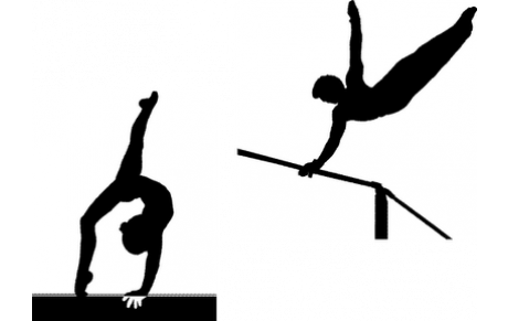 Lettre d'informations n°1