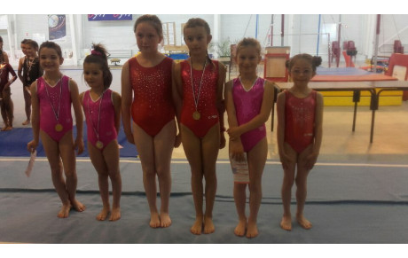 championnat départemental GAF