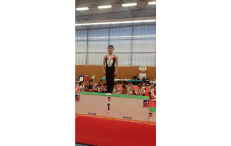 championnat départemental individuelle GAM et GAF