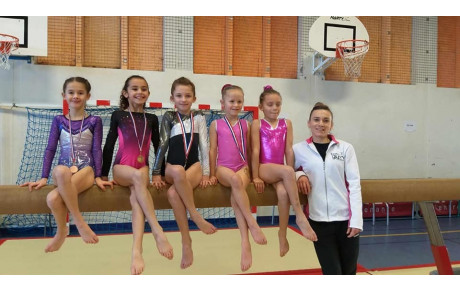 finale départementale individuelle GAF GAM